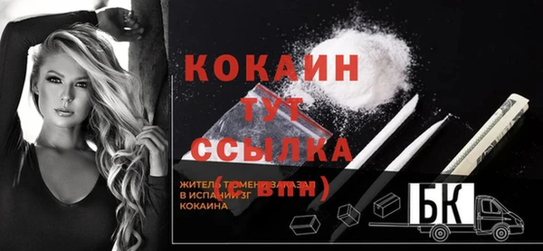 СК Осинники