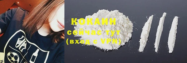 Альфа ПВП Верея