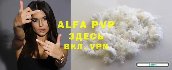 Альфа ПВП Верея