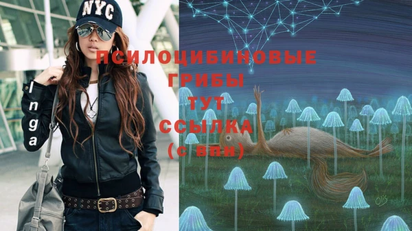 mdma Верхний Тагил
