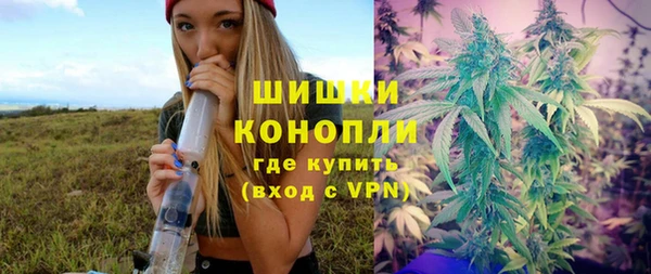 Альфа ПВП Верея