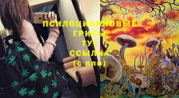 мет Гатчина