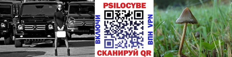 закладка  Игра  Псилоцибиновые грибы мухоморы 
